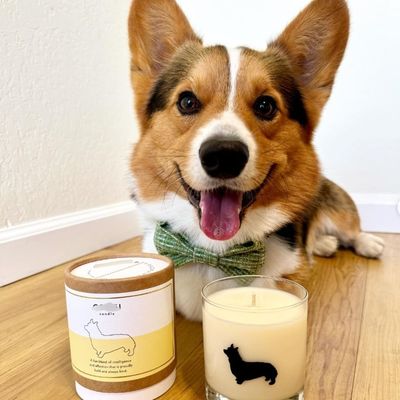 Pet Food Custom Cylinder Kraft Paper Tube With Metal Lids Vanishing Printing Handling Laundry Beads